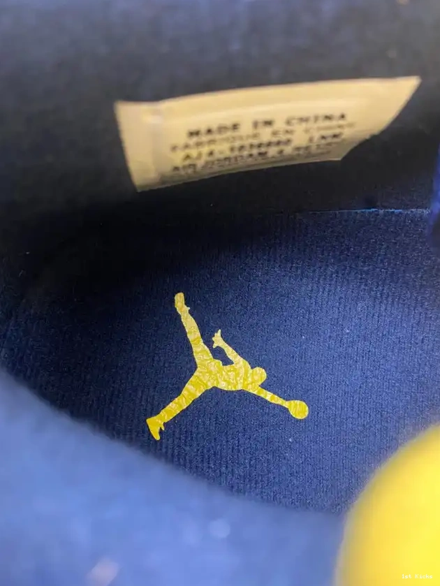 Air Michigan (PE) 4 Jordan Retro AJ4-1036660 0520